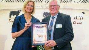 Hall of Fame award for north Longford sheep farmer