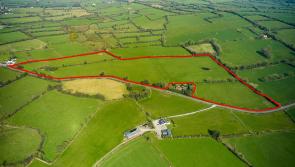 ‘Great confidence among buyers’ as Longford farm sells for almost €0.5 million in online auction
