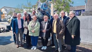 Longford welcomes addition of eye catching squirrel sculptures
