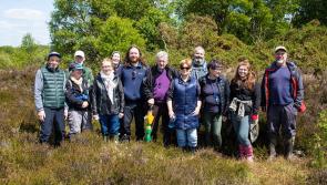 Just Transition helping Longford communities develop bog projects