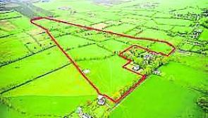 Longford Leader Property: Non-residential farm sells for €416,000 in online auction