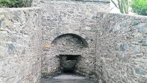 Anger as vandals target Longford heritage site 