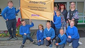 Lanesboro primary school celebrates mindfulness and digital technology
