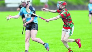 Longford Slashers hurlers hold out for slender win over Wolfe Tones
