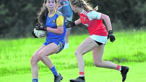 No All-Ireland joy for Longford as Armagh emerge victorious 

