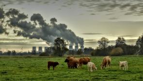 Emissions figures reflect post quota decisions driven by Government policy