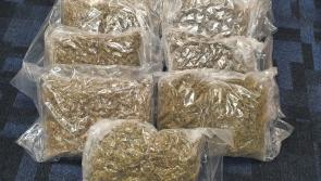 €180,000 drug seizure and arrest in Co Roscommon