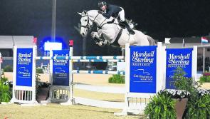 Big Longford interest in Aga Khan Nations Cup at the RDS
