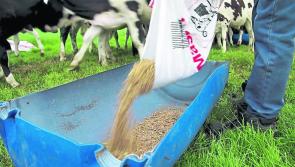 Better farm prices wiped out by input costs