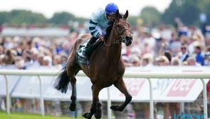 'I think Ireland is very unlikely' - Lonsdale Cup hero likely to skip Irish St Leger