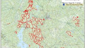 ESB's Longford bog plan 'incomplete application'