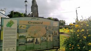 Applications open for grants up to €8,000 for Granard town centre buildings