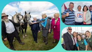 PICTURES | Thousands descend on Laois for day one of National and World Ploughing Championships