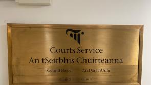Garda injury delays Longford feud assault case 