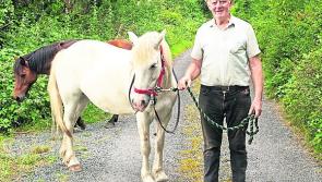 Longford artist to roll out 'A Portrait in Time' exhibition