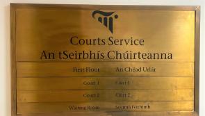 Longfordman's "dispute with the missus" results in €100 fine