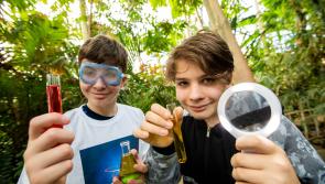 Longford students invited to compete for climate award