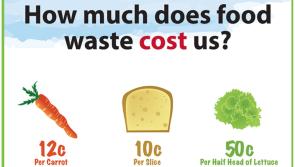 Over one Million tonnes of food waste generated in Ireland annually