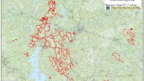 Council approve Lough Ree Power Ash Disposal facility