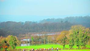 Longford Harriers Point to Point racing action