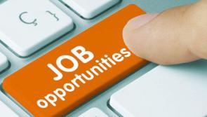 JOB ALERT: DTE Manufacturing - part of Glennon Brothers Group are hiring