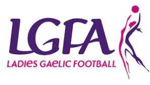 ‘Dip for Donnacha’ fundraiser for young Longford boy 
