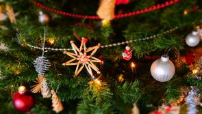 Longford Christmas events diary 