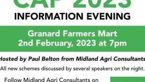 Granard Farmers Mart is venue for information session on CAP Strategic Plan