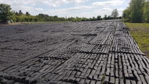Midlands turf cutting contractor fined for illegal extraction 