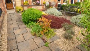 Advice for Longford homeowners on how to spruce up your front garden on a budget