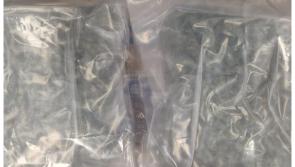 Man arrested as gardai in Midlands make major drugs seizure 