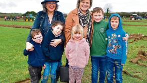 Huge crowds bask in glory of Co Longford Ploughing Championships