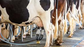 Longford farmers hear ICMSA demand ‘hold’ on milk price