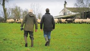 Longford farmers invited to regional farm succession and inheritance meetings
