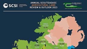 Good agricultural land in Longford can command up to €12,000 per acre