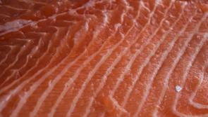 ALERT | Batch of Irish fish removed from supermarkets due to presence of illness-causing bacteria