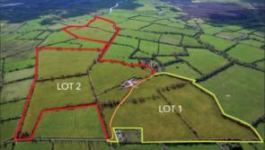 Two large lots of prime farm land in Midlands going up for auction in the coming weeks