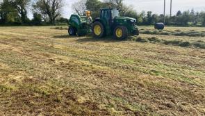 Inland Fisheries Ireland appeals to farmers to protect watercourses during the silage season