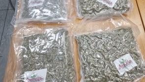 Midlands gardaí seize huge haul of cannabis as part of Operation Tara