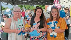 Longford crowds bask in glorious sunshine as Clondra Harbour and Heritage Festival returns in style