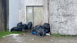 Longford public urged to take responsibility over littering
