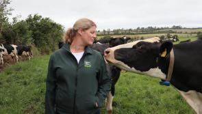 For Irish dairy farmers, water quality is central to their focus on environmental sustainability