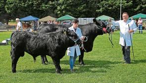 Granard gets set  to host 72nd Agricultural  Show