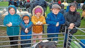  Adverse weather fails to stop Longford crowds flocking to Granard Agricultural Show
