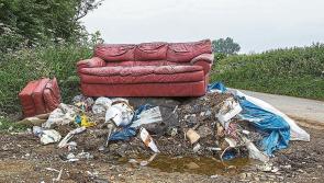 Fresh calls to hit Longford's litter louts in the pocket 