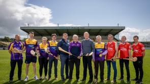 Star-studded teams announced for Hurling for Cancer Research 2023