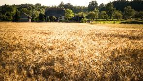 Longford Farming: Tillage farmers facing huge losses