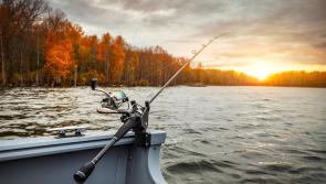 King of the Lake International Pike Festival to take place in Longford
