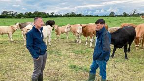Longford Farming: Getting Winter Ready