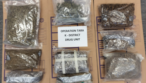 Gardaí arrest man in his 50s after discovery of large cannabis stash